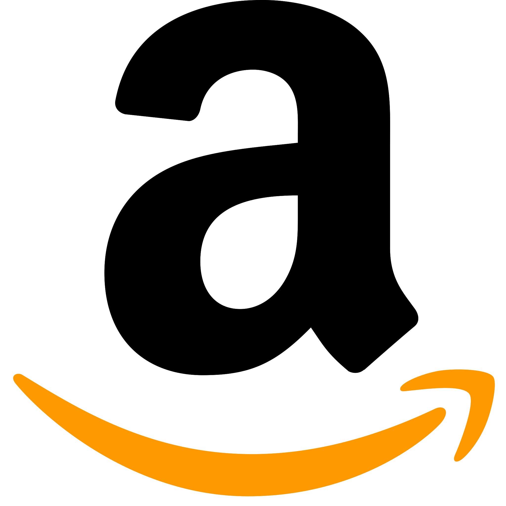 Icon Amazon